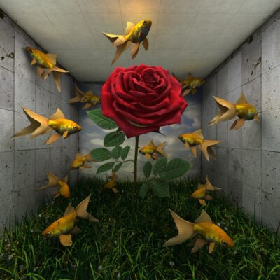 Kunstwerk von Park Hyun-Jin