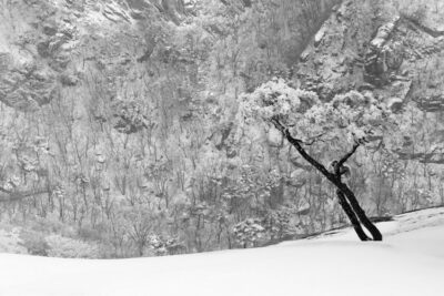 Kunstwerk von Lim Chae Wook