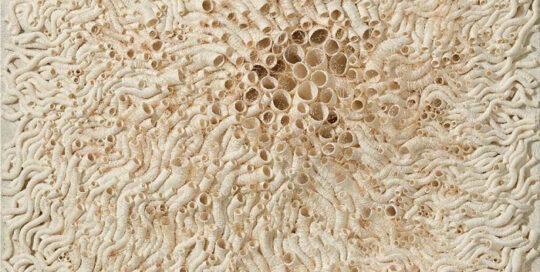 Kunstwerk von Choi Kyung Ae