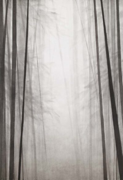 Kunstwerk von Kim Hyunkyung